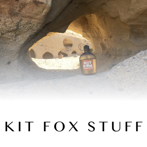 Kit Fox Stuff