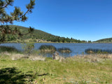 Lake Cuyamaca Sticker