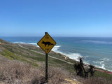 Cabrillo National Monument Sticker