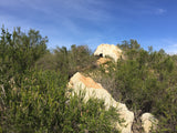 Hike Ramona Mount Gower Sticker