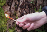 Stormproof Match Kit™