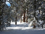 San Jacinto Wilderness Map