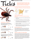 Ben's Tick Repellent