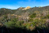 Topanga State Park