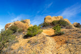 Topanga State Park