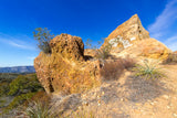 Topanga State Park