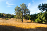 Topanga State Park