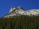 Yosemite High Country