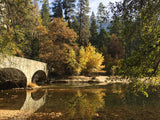 Yosemite National Park